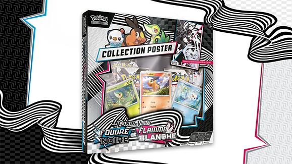 PRECO Pack anti-bot 1 coffret Poster 10.5 foudre noir et flamme blanche + 1 carte gradée japonaise 9.5